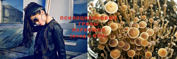 метамфетамин Аркадак