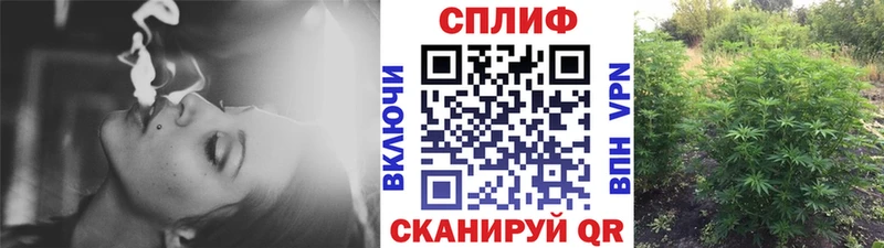 Конопля сатива Купить закладки Усолье